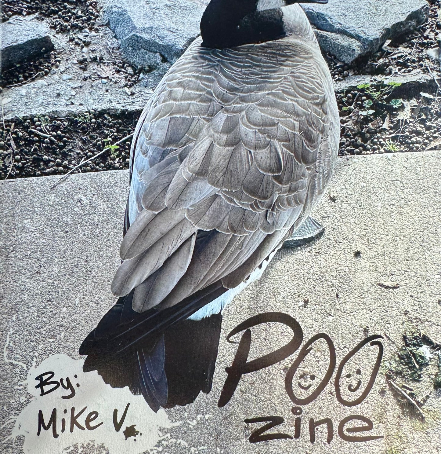 Poo Zine