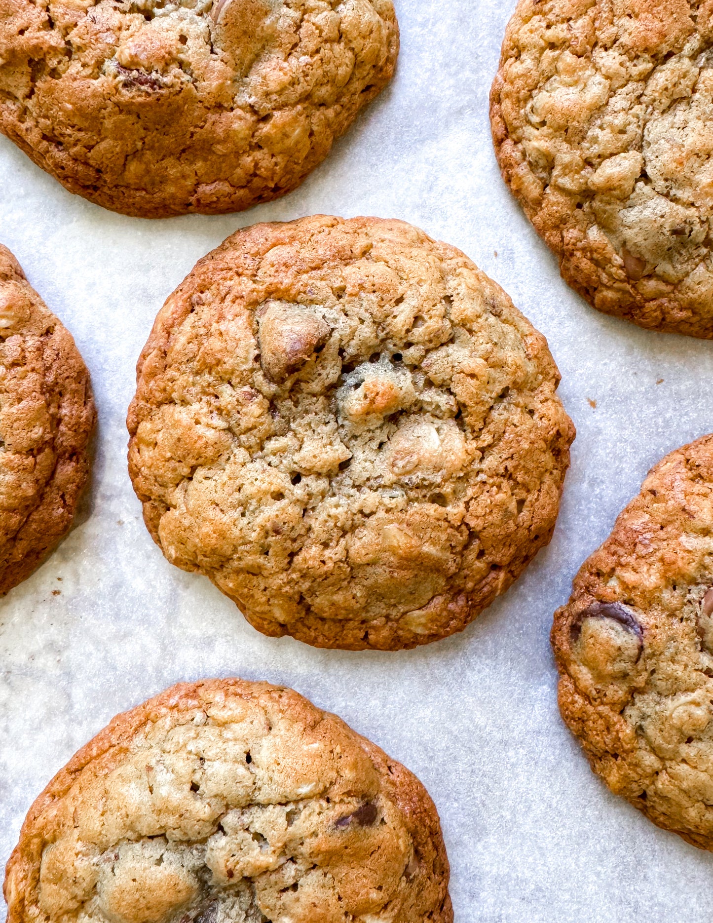 Delicious chocolate-and-oat lactation mini cookies.