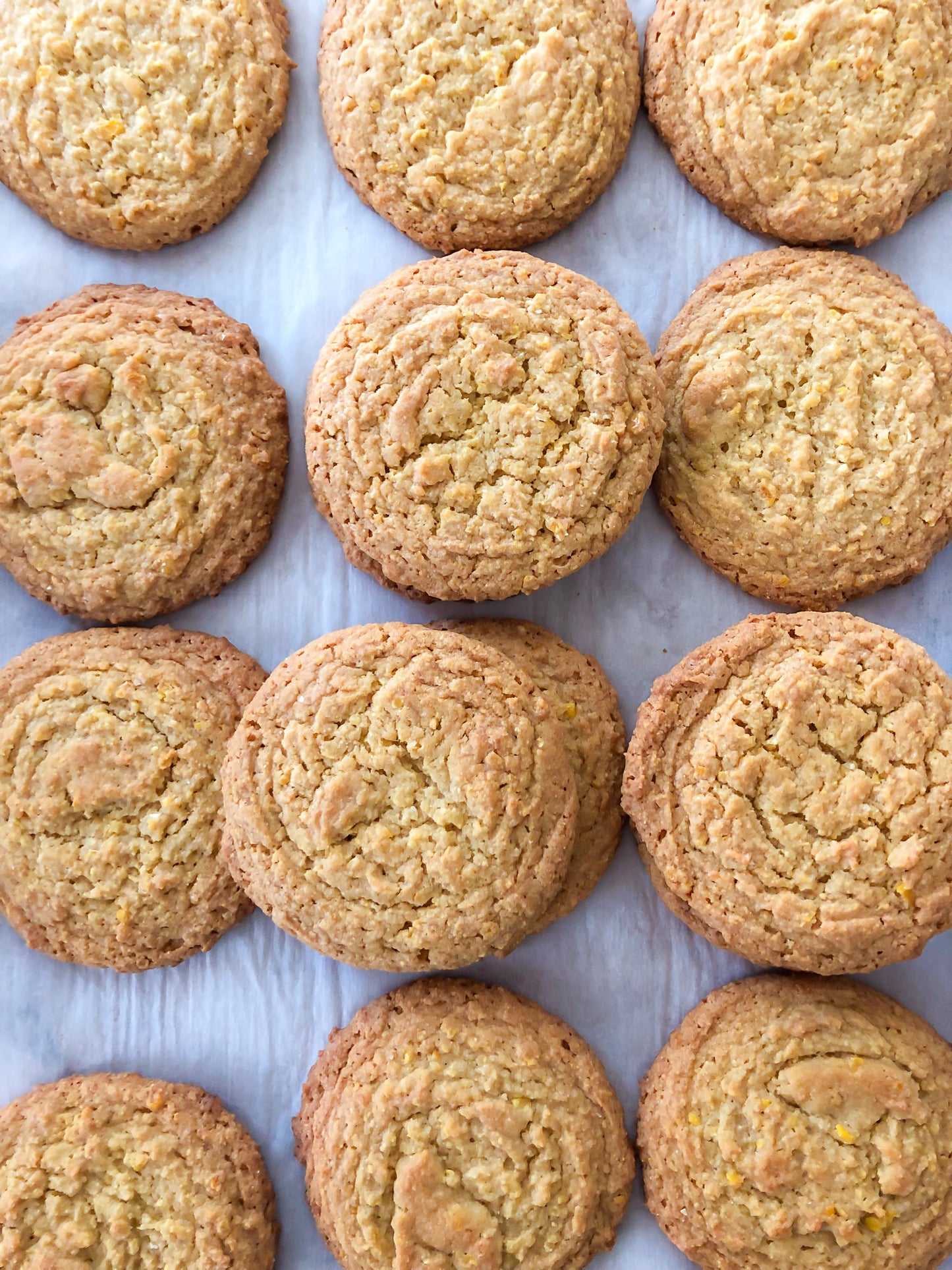 An array of tasty plain cookies.