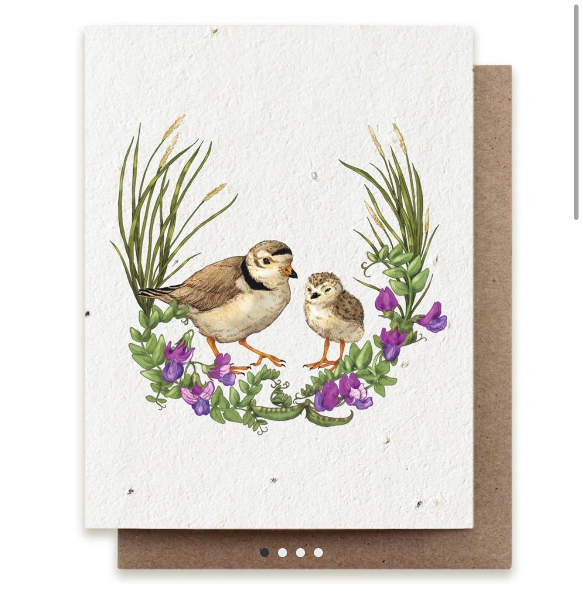 Two cute, delicately painted birds surrounded by flowers, leaves and grasses on the cover of a decoratively floral sustainable seed card.