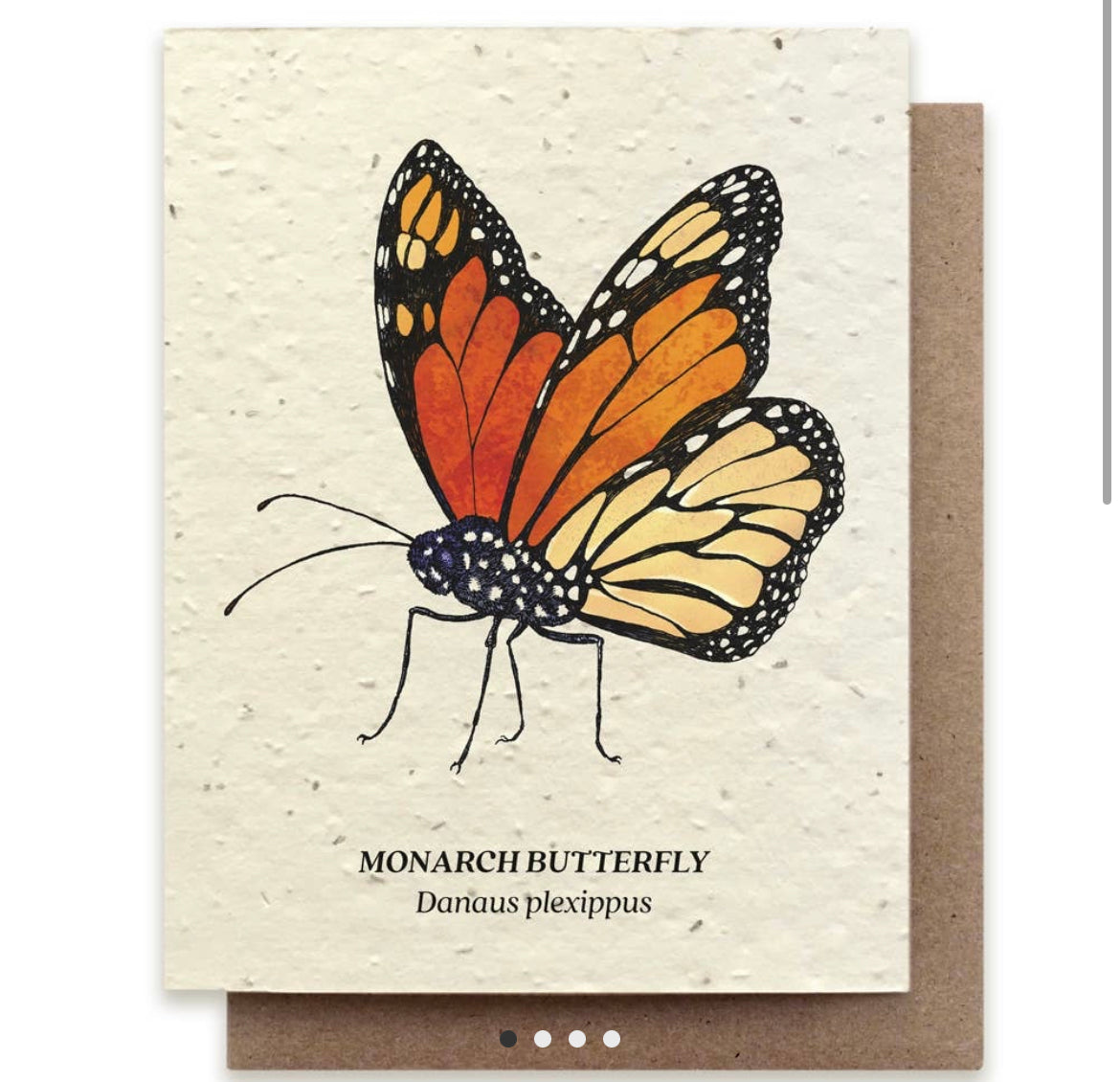 A detailed monarch butterfly, labeled with its scientific name, Danaus plexippus, on the cover of an environmentally friendly seed card.