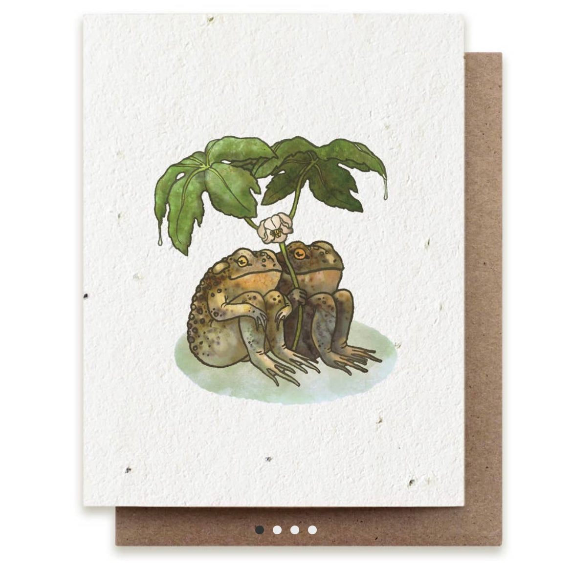 Two frogs, or a frog and a toad, sit under a leafy umbrella on the cover of this seed card.