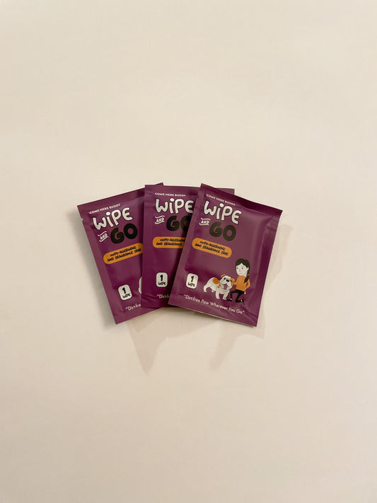 3 Wipe and Go dog wipe packets. Label reads "Hypo-Allergenic and Fragrance Free. 'Dirt-free Paw Wherever You Go.'"