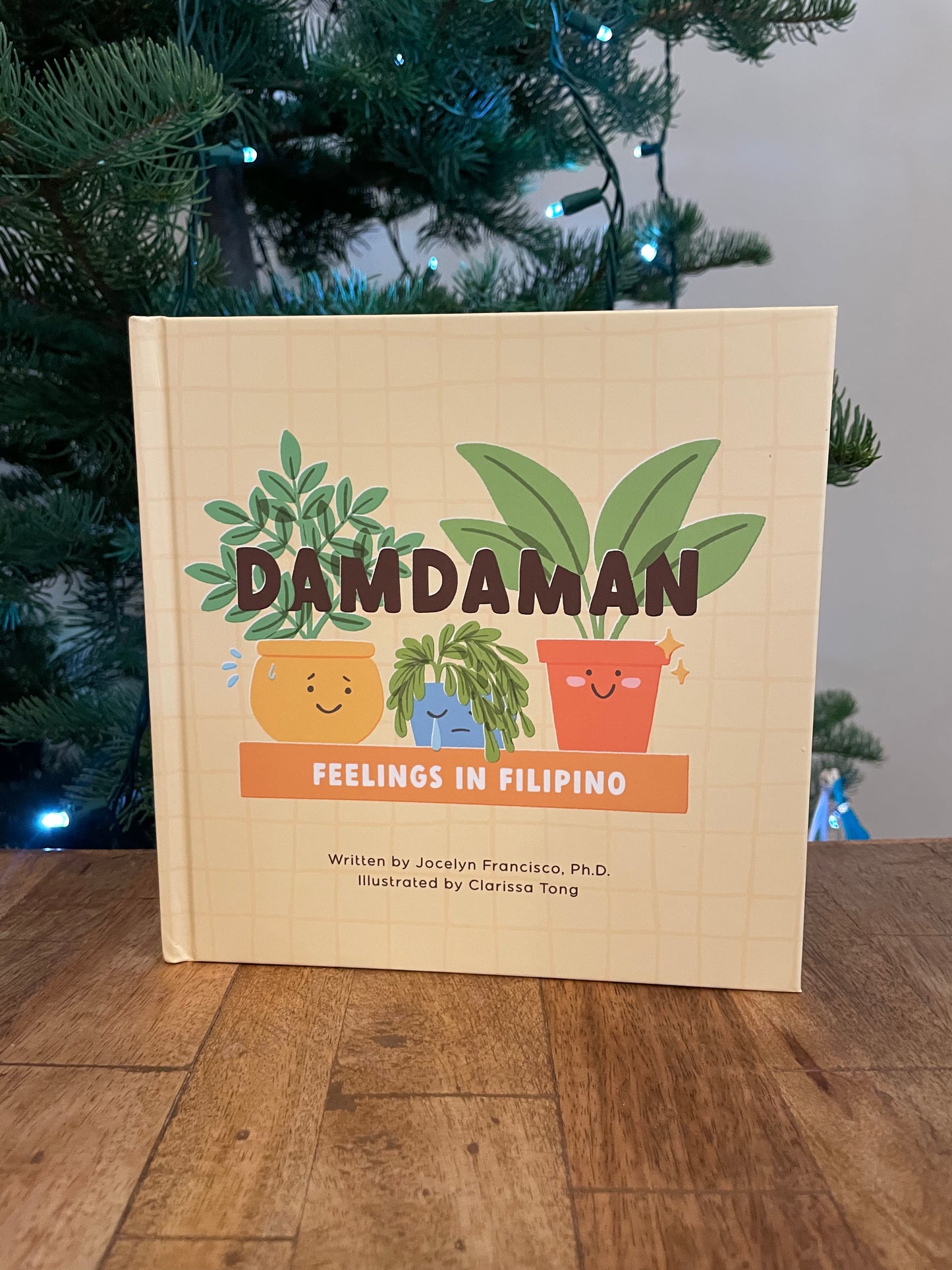Inside Kapwa Kultural Center - Feelings in Filipino - Damdaman