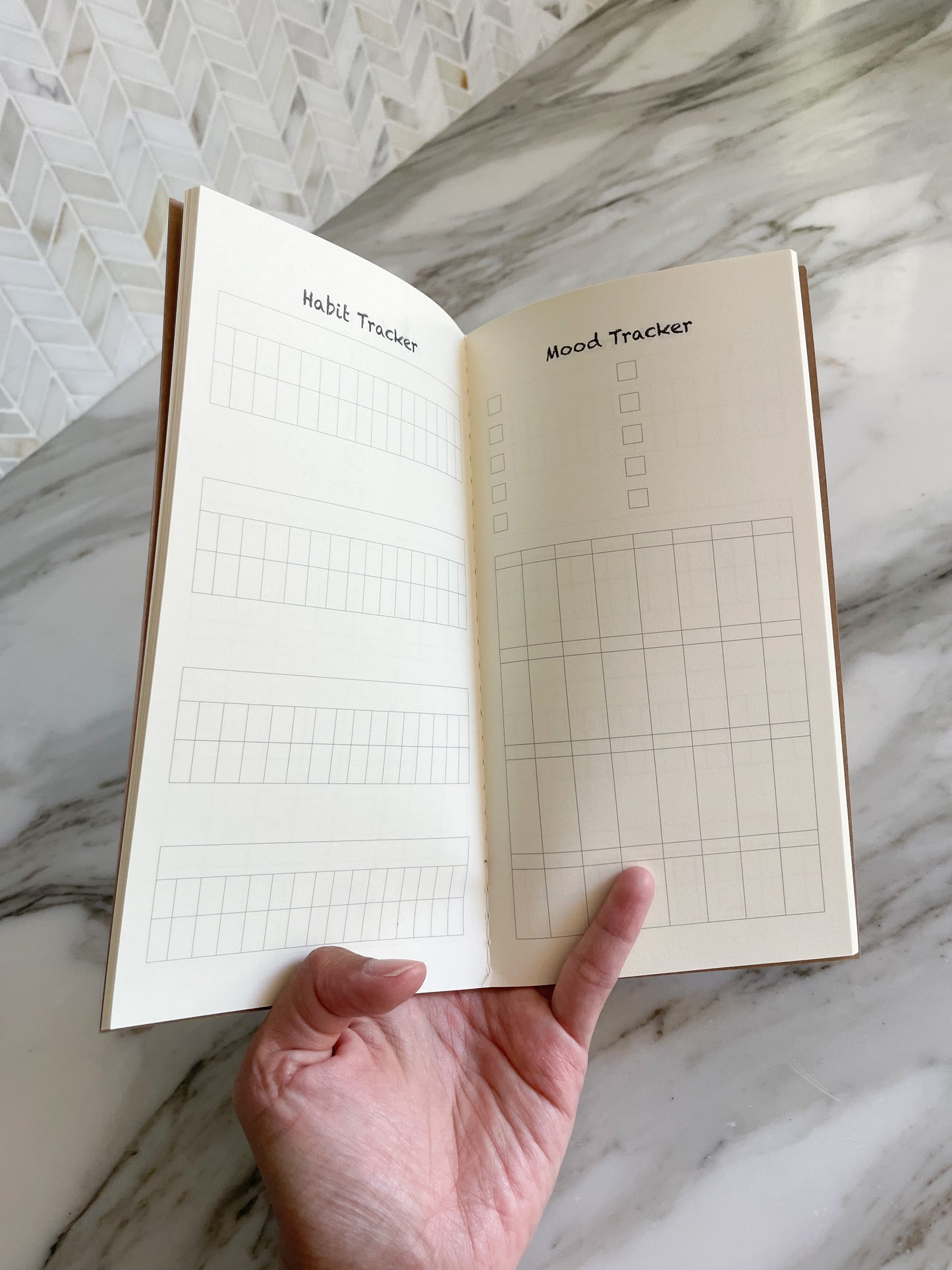 Habit & Mood Tracker