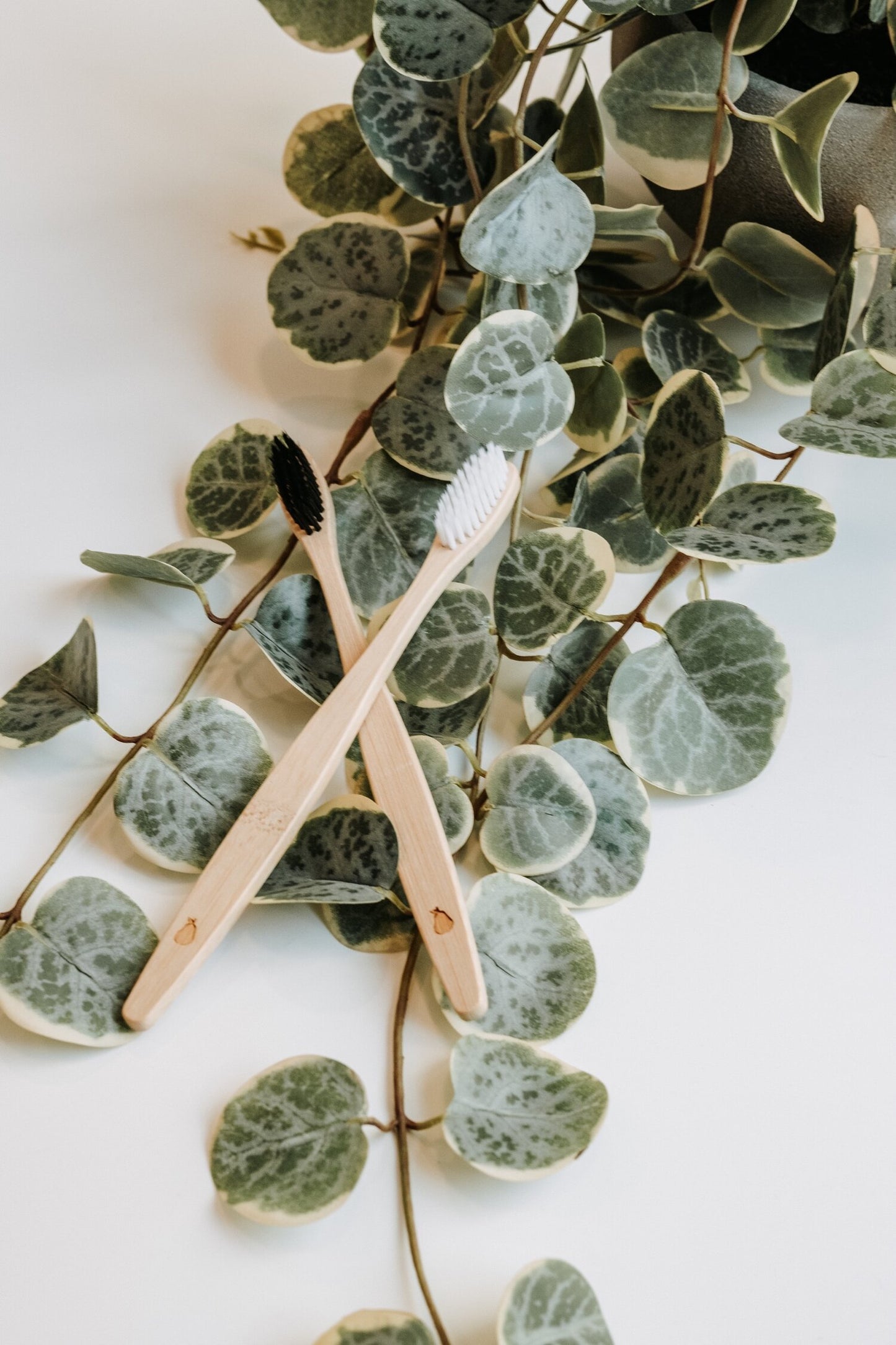 Bamboo Toothbrush