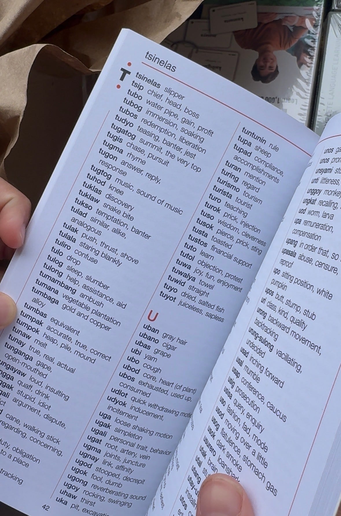 Tagalog English Dictionary - 3,000 words