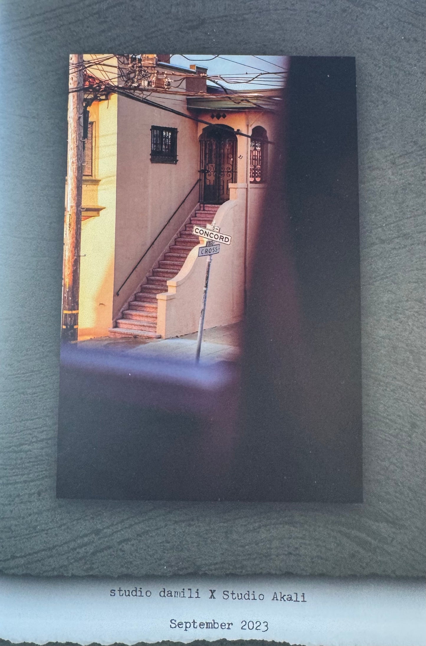 Zine - studio damili