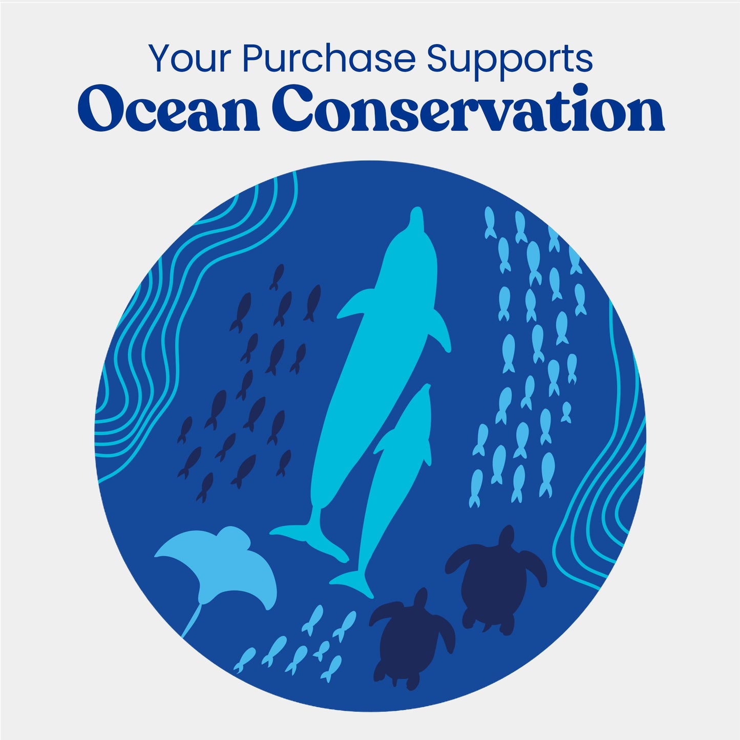 Revolve Manual Toothbrush Heads - Ocean Conservation