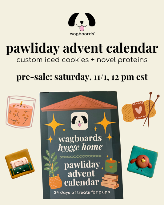 Pawliday Advent Calendar
