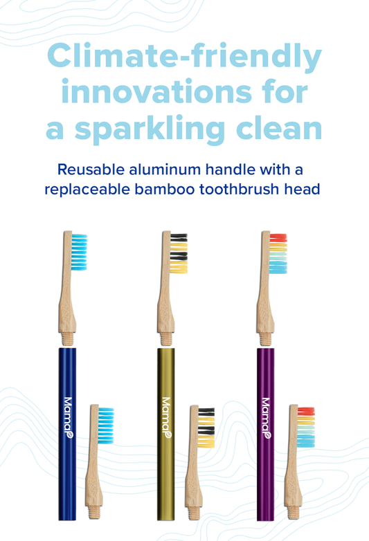 Revolve Toothbrush Starter Set