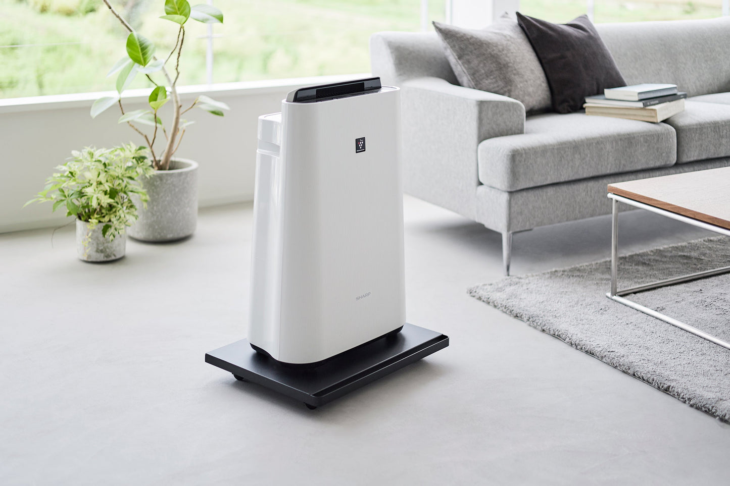 Rolling Caddy (2" H)  - Steel