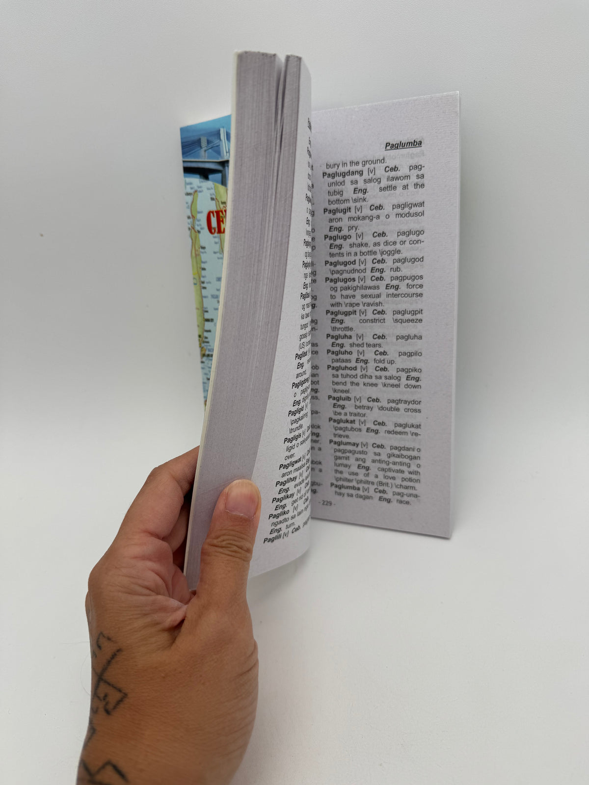 Visayan Cebuano - English Dictionary