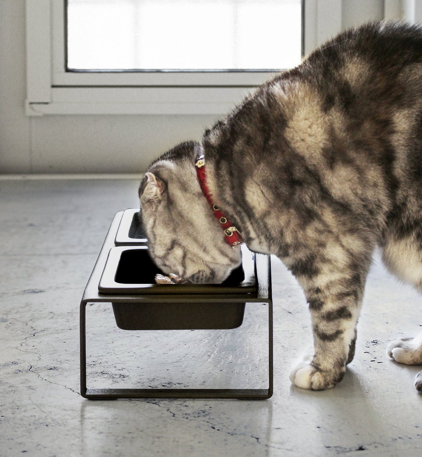 Pet Food Bowl - Tall - Steel + Ceramic