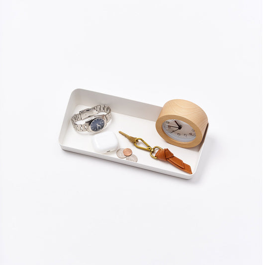 Vanity Tray - Angled - Large - Steel