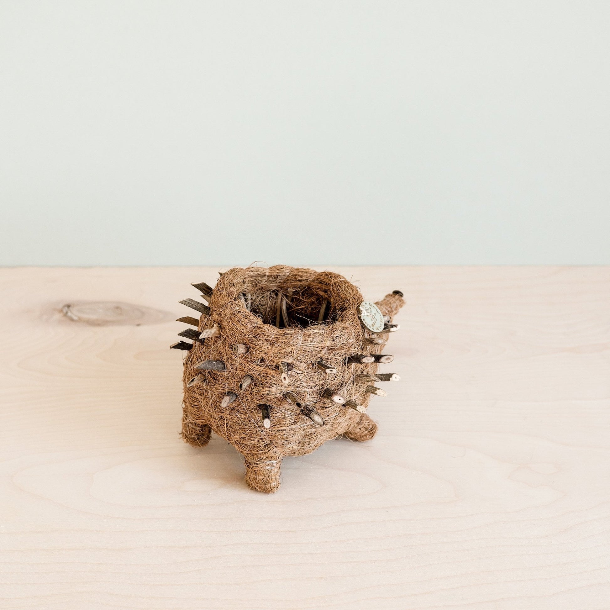 hedgehog succulent pot Baby Hedgehog Plant Pot - Handmade Planters