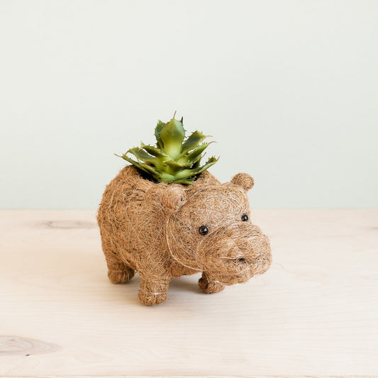 Baby Hippo Plant Pot - Handmade Pots | LIKHÂ
