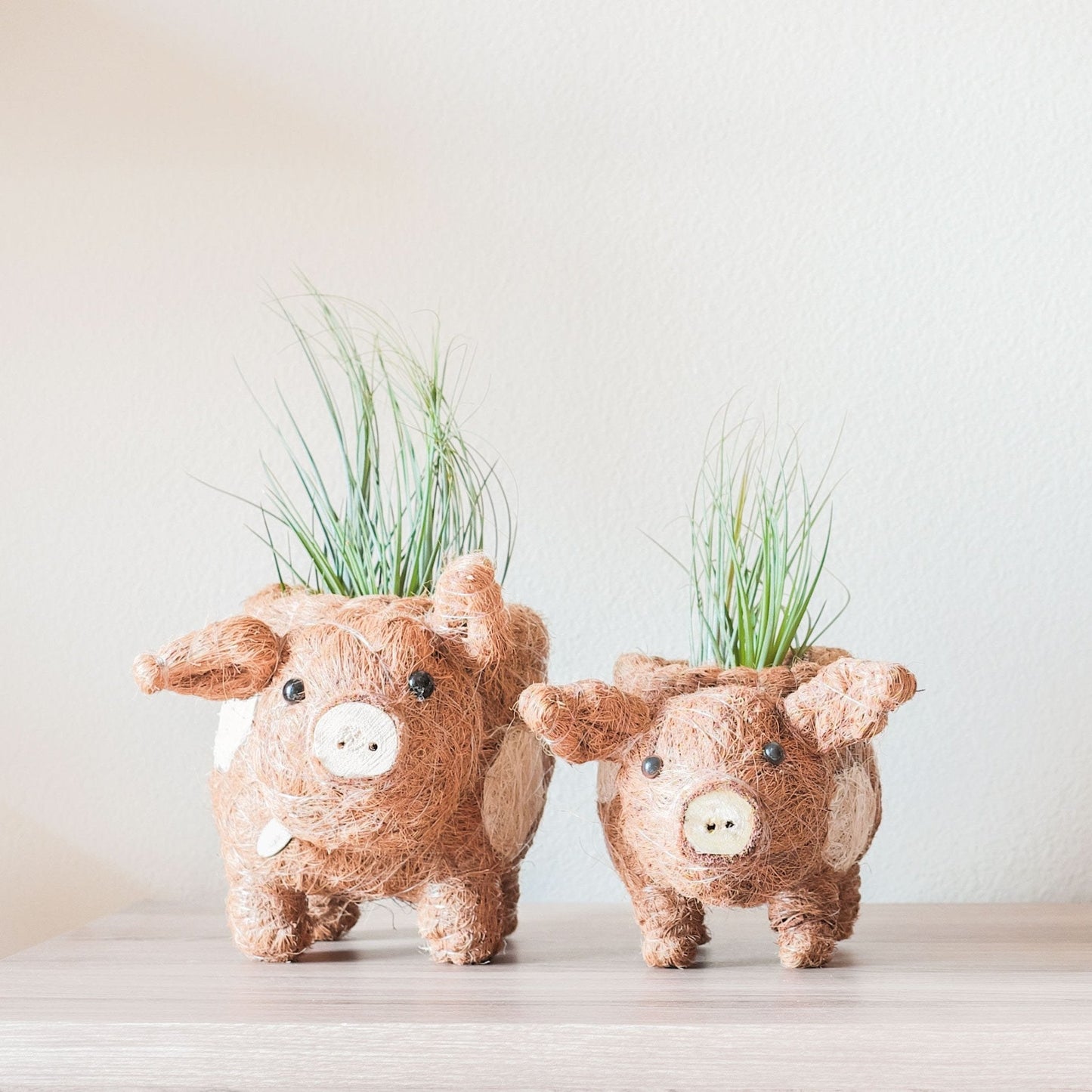 Baby Pig Succulent Pot - Handmade Planters | LIKHÂ