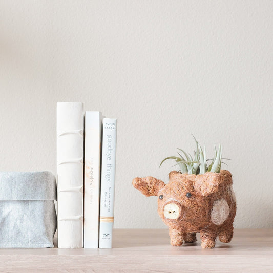 Baby Pig Succulent Pot - Handmade Planters | LIKHÂ