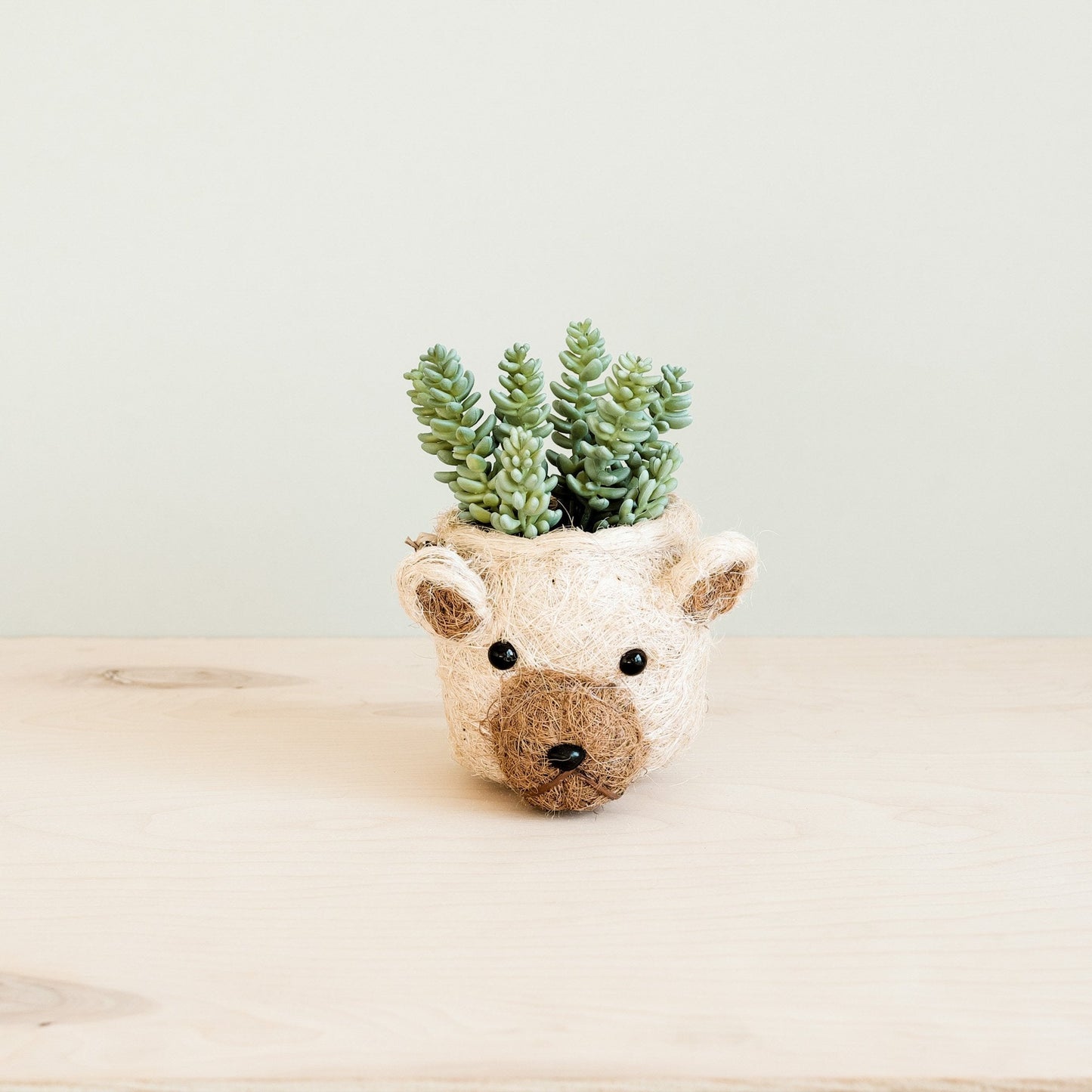 Bear Planter - Animal Head Planters | LIKHÂ