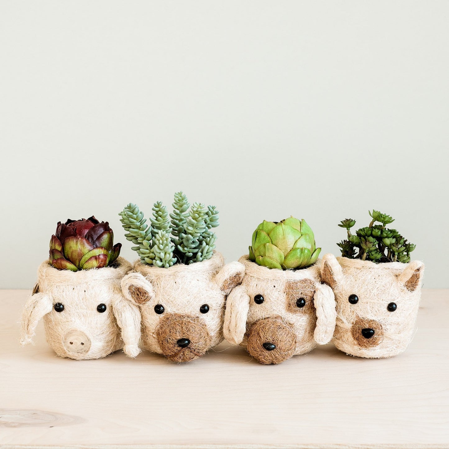 Bear Planter - Animal Head Planters | LIKHÂ