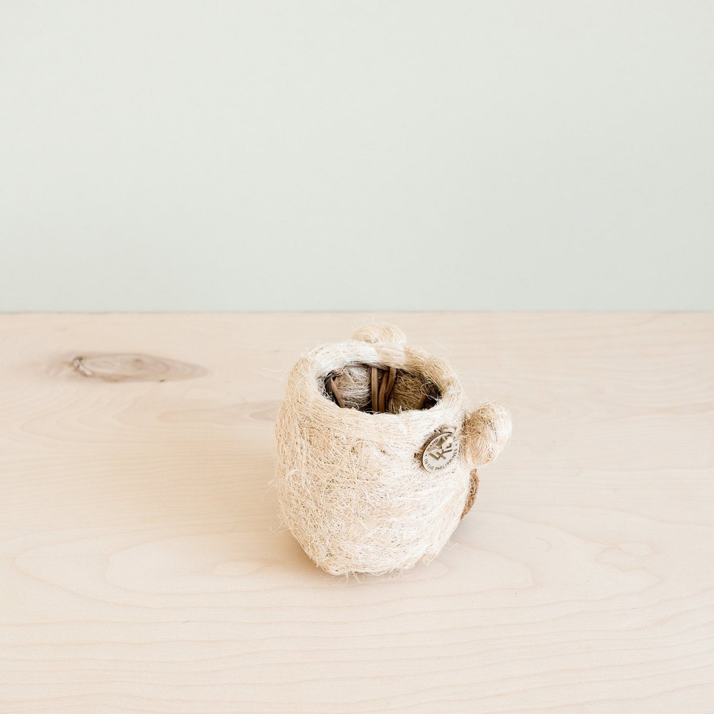 Bear Planter - Animal Head Planters | LIKHÂ