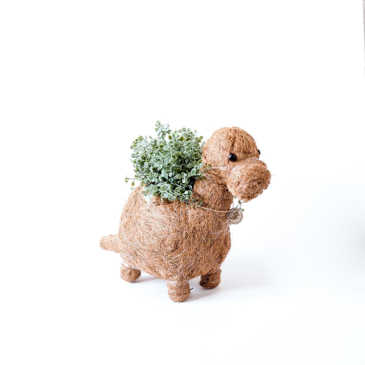 Brontosaurus Planter - Coco Coir Pots | LIKHÂ