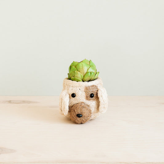 Dog Succulent Planter - Animal Head Plant Pot | LIKHÂ