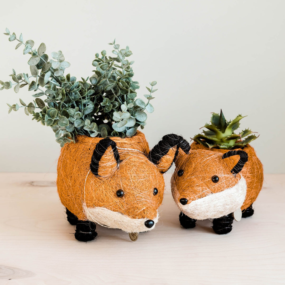 Fox Planter - Coir Planters | LIKHÂ