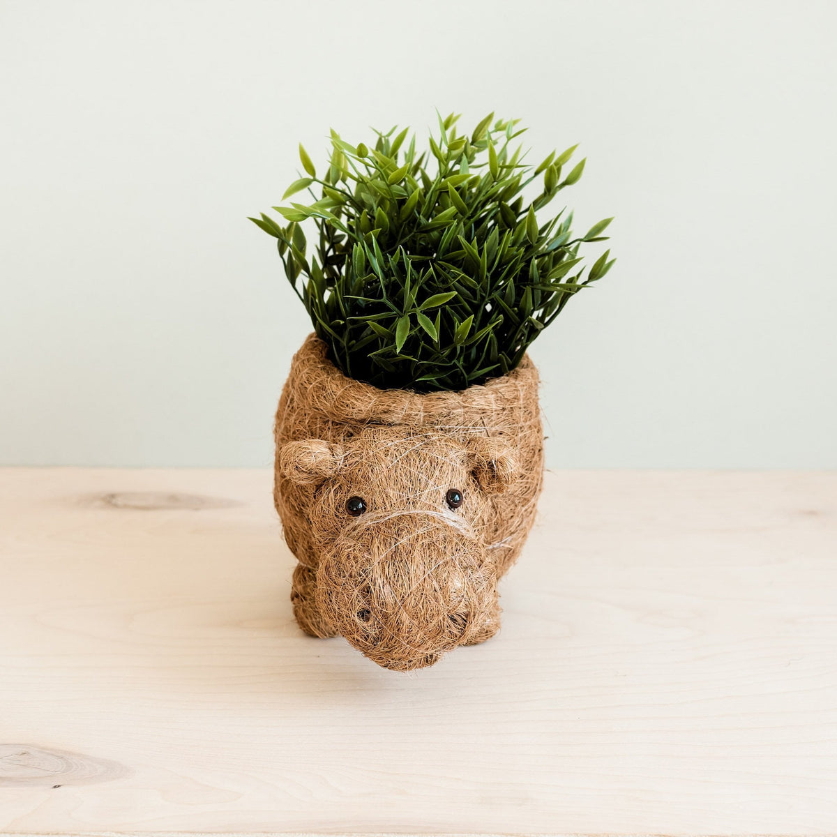 Hippo Planter - Coco Planter | LIKHÂ