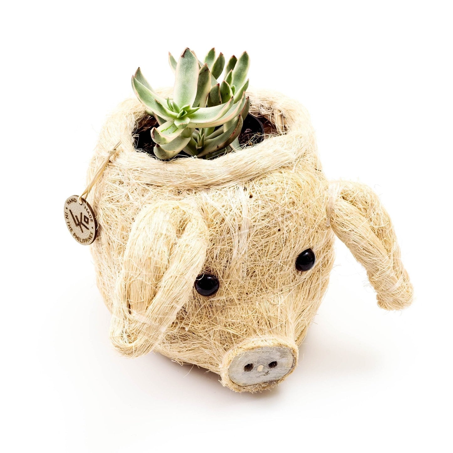 Pig Plant Pot - Animal Head Plant Pot | LIKHÂ