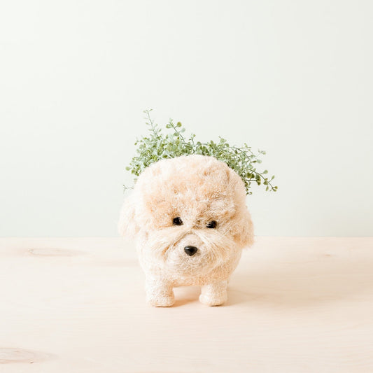 Poodle Planter - Coco Coir Pots | LIKHÂ
