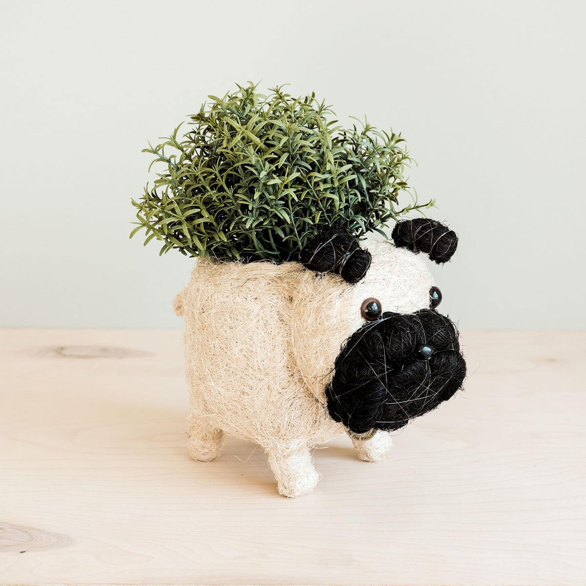 Pug Planter - Coco Coir Pots | LIKHÂ