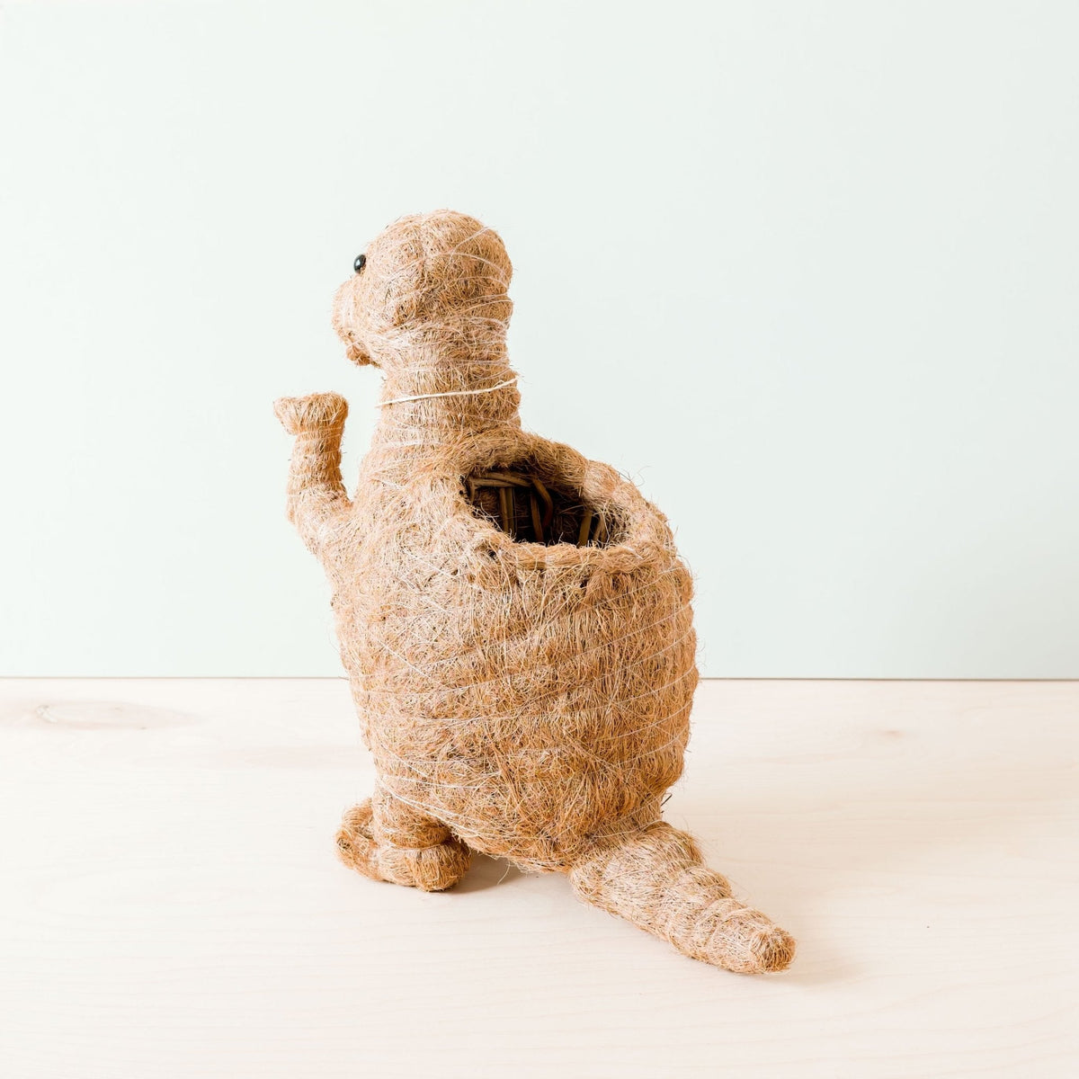 T-Rex Planter - Coco Coir Pots | LIKHÂ